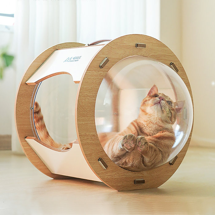 Tucker Murphy Pet™ Dastins Specialty Cat Bed Wayfair